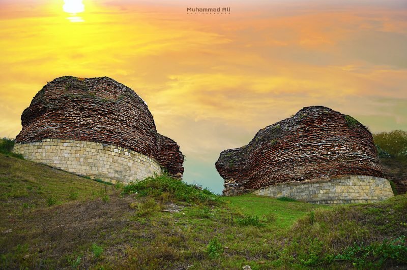 nature-(7)